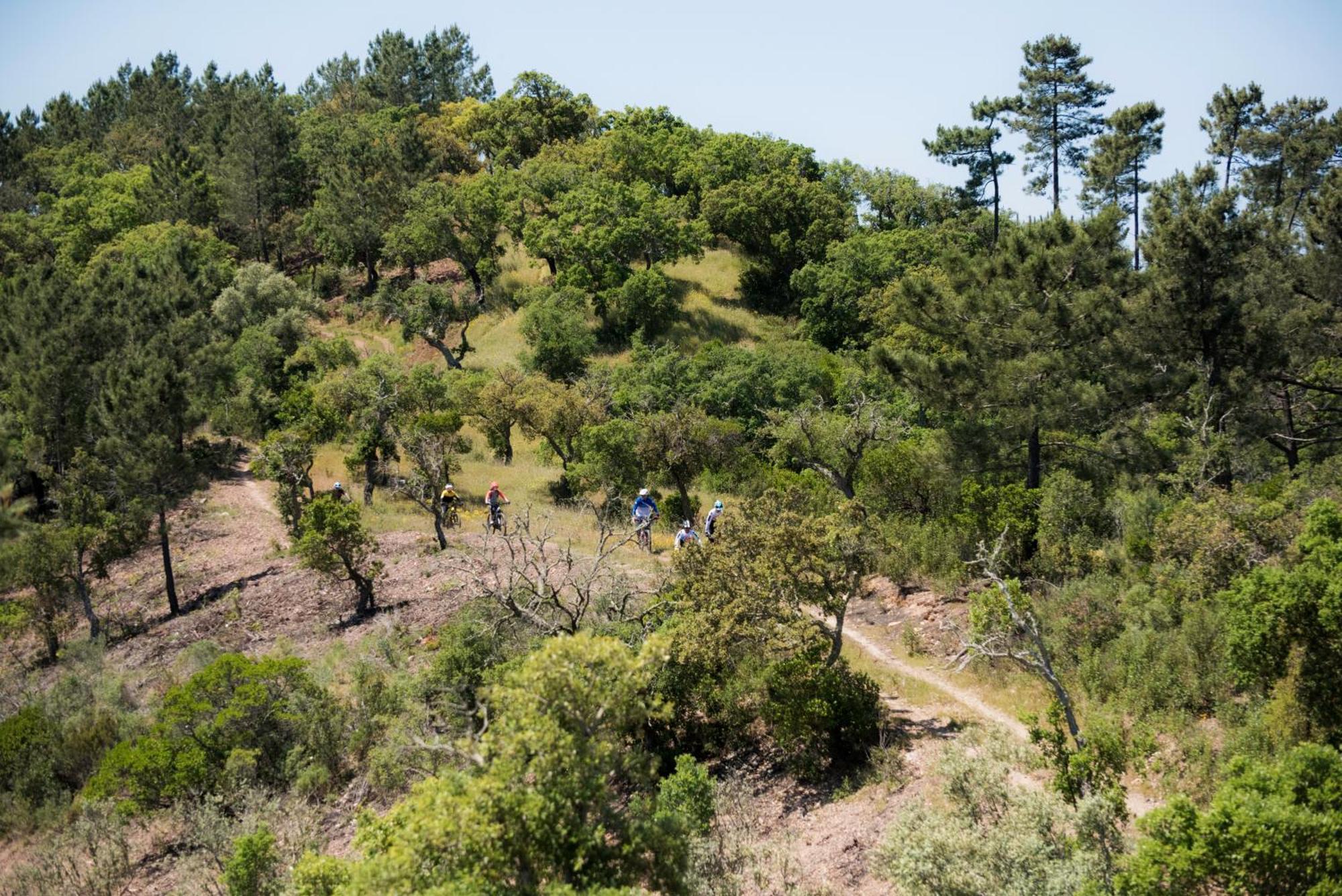 Herdade Das Barradas Da Serra Grândola Exterior foto